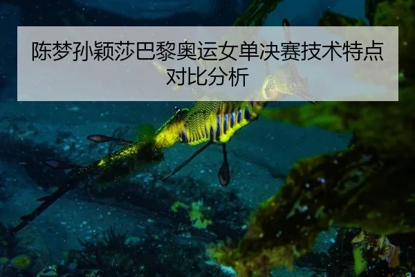 陈梦孙颖莎巴黎奥运女单决赛技术特点对比分析